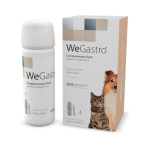 Συμπλήρωμα Διατροφής Γαστροπροστατευτικό Για Σκύλους Και Γάτες Wegastro 60ml Βιταμίνες & Συμπληρώματα διατροφής για Σκύλους